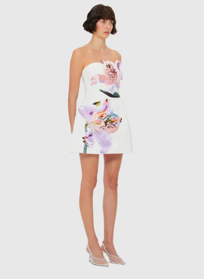 Whispering Petals Mini Dress