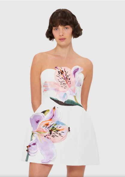 Whispering Petals Mini Dress
